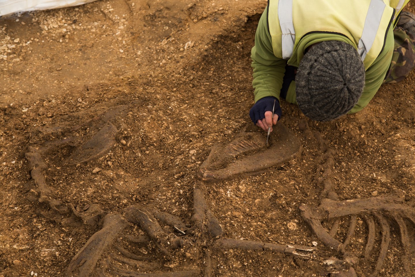 MAP field team recording an Iron Age chariot burial under cover