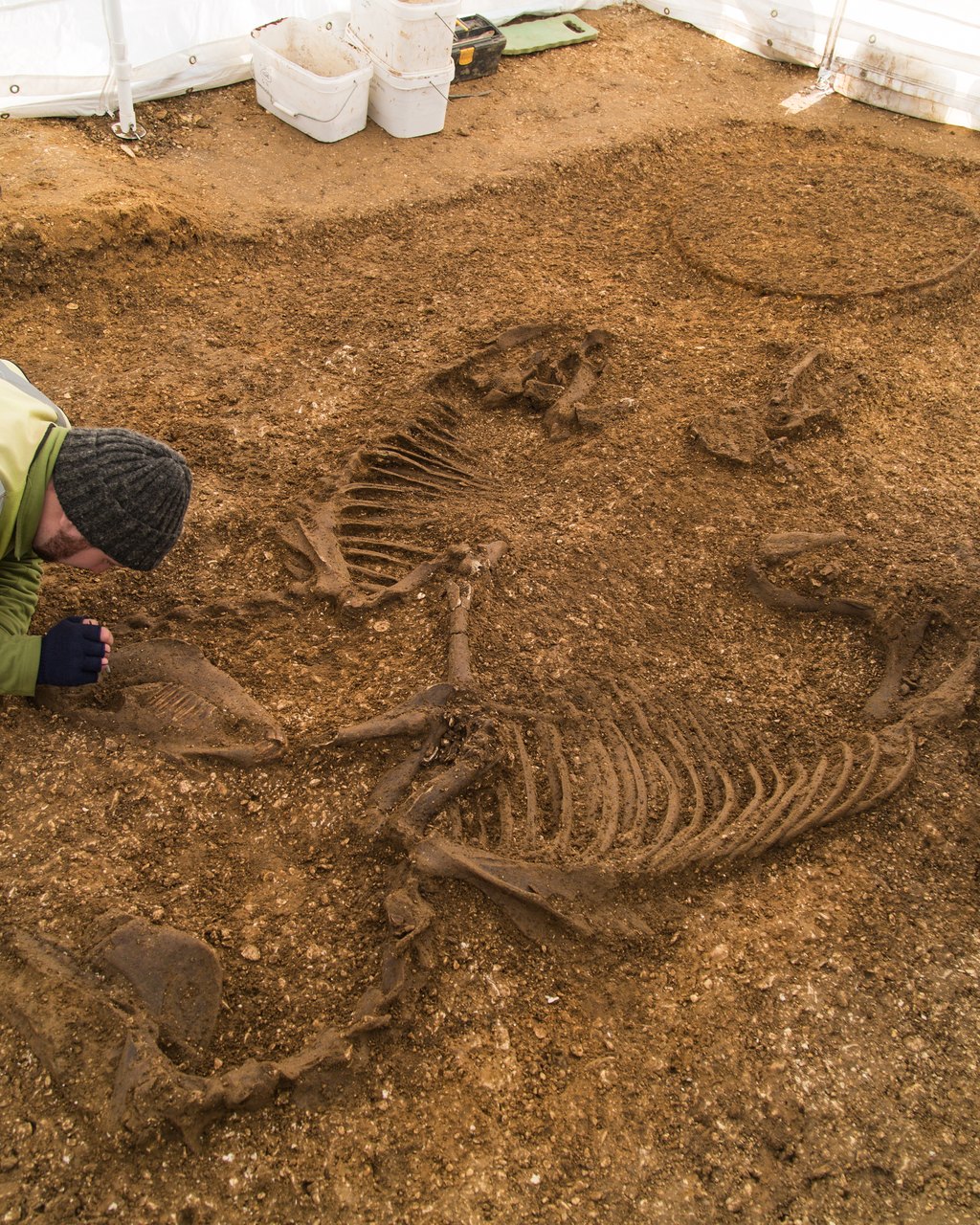 Archaeologists carefully excavating a gridded trench in Northern England