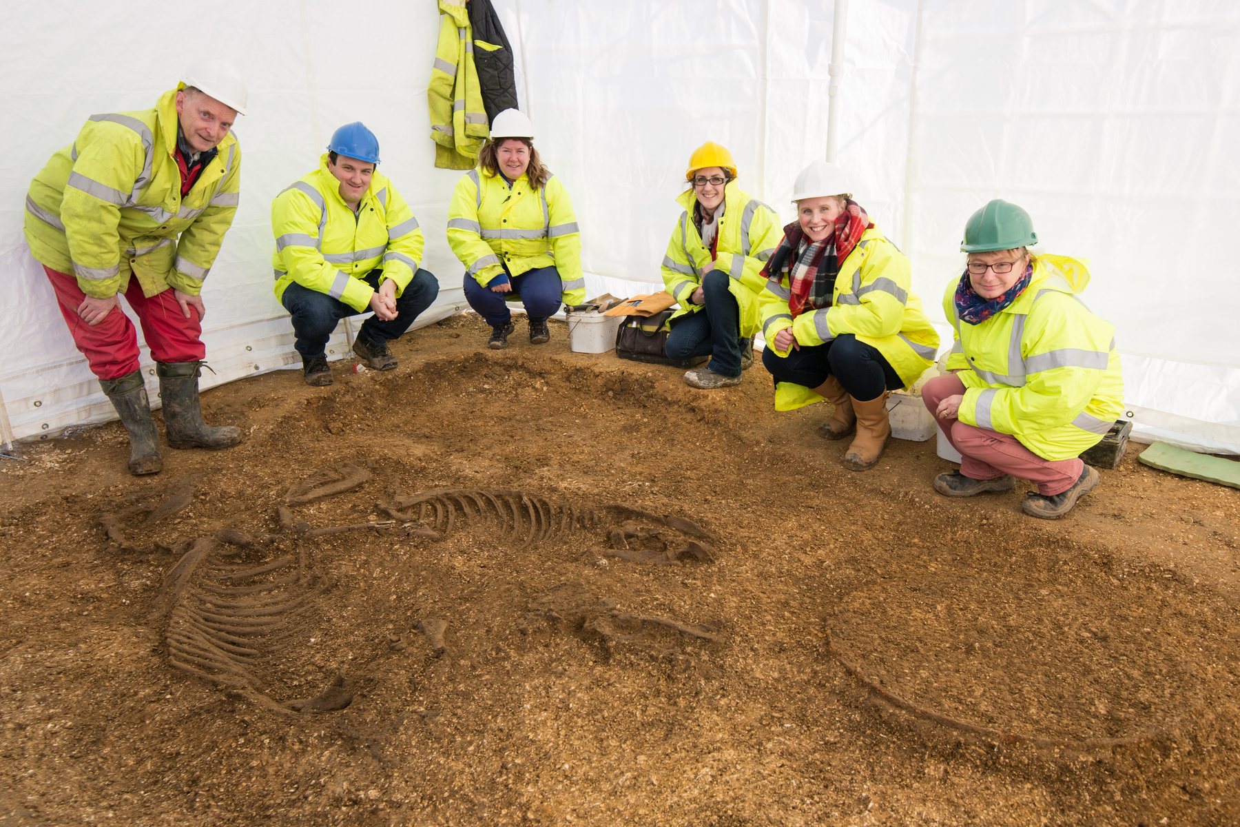 Iron Age chariot burial discovered at Pocklington